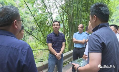 代軍深入龍華鎮調研指導，聚焦旅游項目開發新藍圖